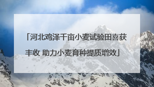 河北鸡泽千亩小麦试验田喜获丰收 助力小麦育种提质增效