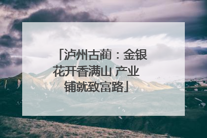 泸州古蔺：金银花开香满山 产业铺就致富路