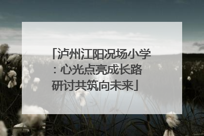 泸州江阳况场小学：心光点亮成长路 研讨共筑向未来