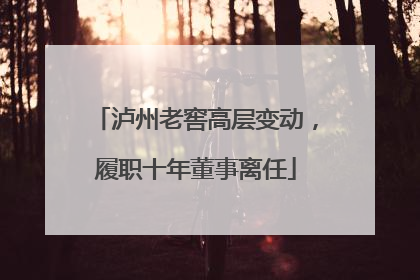 泸州老窖高层变动，履职十年董事离任