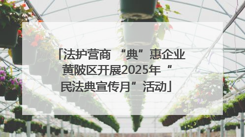 法护营商 “典”惠企业 黄陂区开展2025年“民法典宣传月”活动