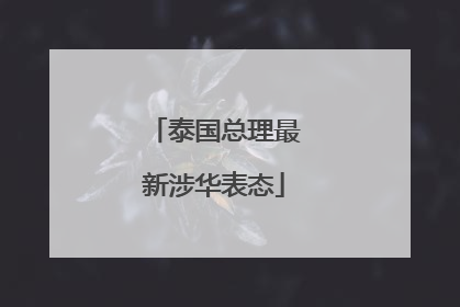 泰国总理最新涉华表态