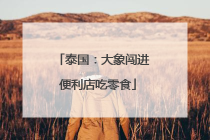 泰国：大象闯进便利店吃零食