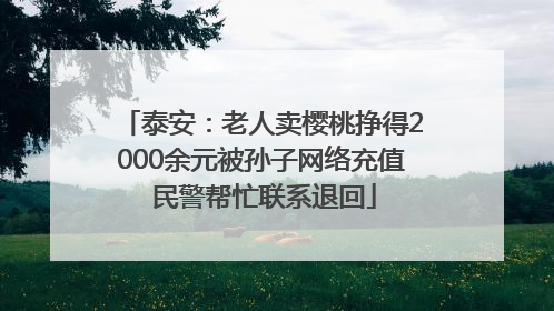 泰安：老人卖樱桃挣得2000余元被孙子网络充值 民警帮忙联系退回