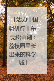 活力中国调研行丨东莞松山湖：荔枝园里长出来的科学城