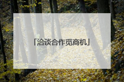 洽谈合作觅商机