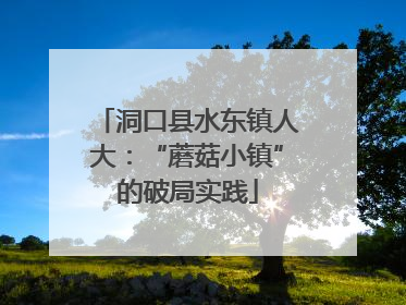 洞口县水东镇人大：“蘑菇小镇”的破局实践