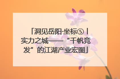 洞见岳阳·坐标⑤丨实力之城——“千帆竞发”的江湖产业宏图