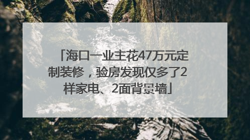 海口一业主花47万元定制装修，验房发现仅多了2样家电、2面背景墙