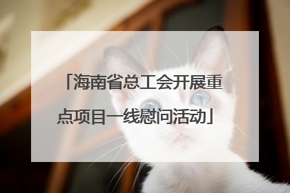 海南省总工会开展重点项目一线慰问活动