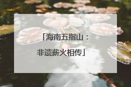 海南五指山：非遗薪火相传