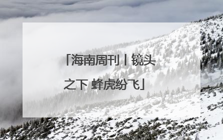 海南周刊丨镜头之下 蜂虎纷飞