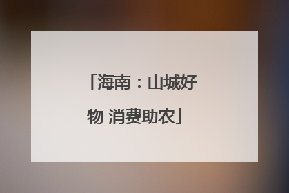 海南：山城好物 消费助农