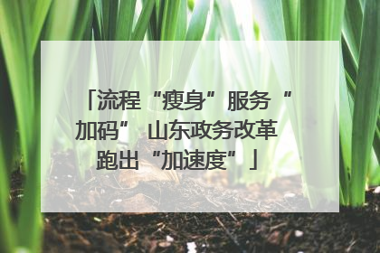 流程“瘦身”服务“加码” 山东政务改革跑出“加速度”