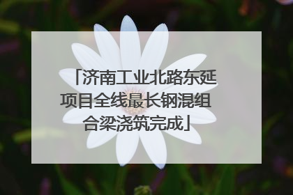 济南工业北路东延项目全线最长钢混组合梁浇筑完成