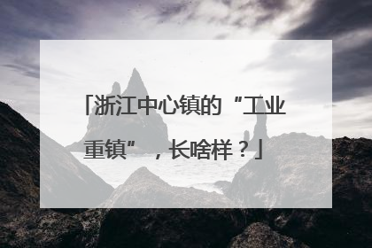 浙江中心镇的“工业重镇”，长啥样？