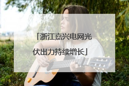 浙江嘉兴电网光伏出力持续增长
