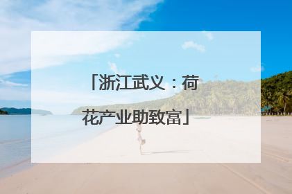 浙江武义：荷花产业助致富