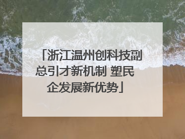 浙江温州创科技副总引才新机制 塑民企发展新优势
