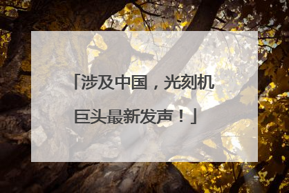 涉及中国，光刻机巨头最新发声！