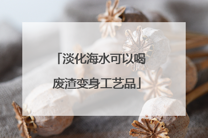 淡化海水可以喝 废渣变身工艺品