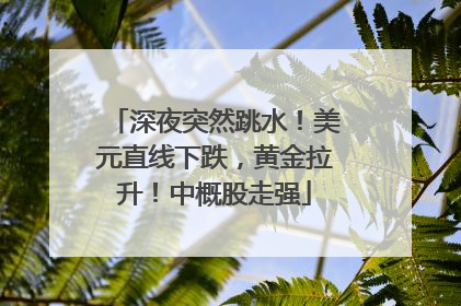 深夜突然跳水！美元直线下跌，黄金拉升！中概股走强