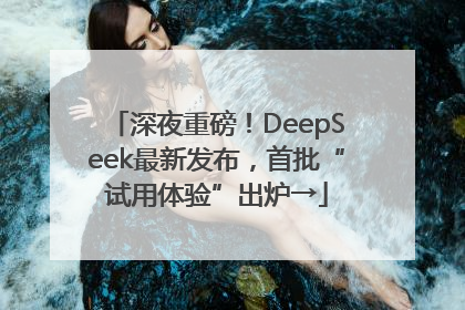 深夜重磅！DeepSeek最新发布，首批“试用体验”出炉→