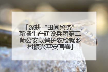 深耕“田间警务”，新疆生产建设兵团第二师公安以警护农绘就乡村振兴平安画卷