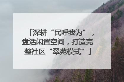 深耕“民呼我为”，盘活闲置空间，打造完整社区“翠苑模式”