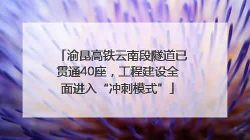 渝昆高铁云南段隧道已贯通40座，工程建设全面进入“冲刺模式”