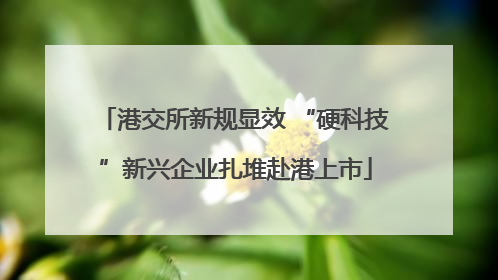 港交所新规显效 “硬科技”新兴企业扎堆赴港上市