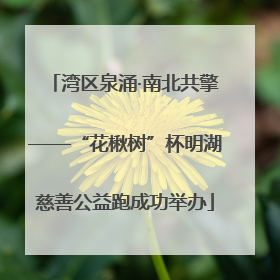 湾区泉涌·南北共擎——“花楸树”杯明湖慈善公益跑成功举办