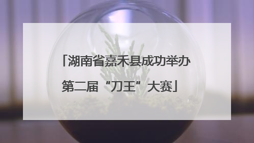 湖南省嘉禾县成功举办第二届“刀王”大赛