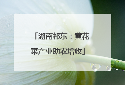 湖南祁东：黄花菜产业助农增收