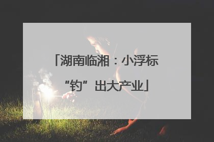 湖南临湘：小浮标“钓”出大产业
