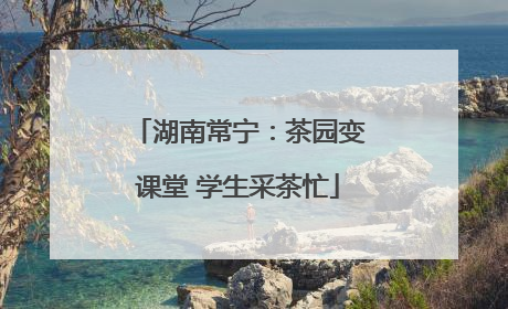 湖南常宁：茶园变课堂 学生采茶忙