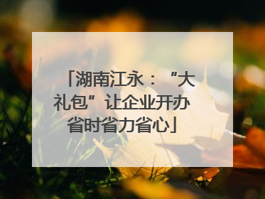 湖南江永：“大礼包”让企业开办省时省力省心