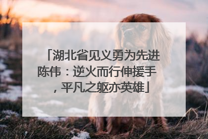 湖北省见义勇为先进陈伟：逆火而行伸援手，平凡之躯亦英雄