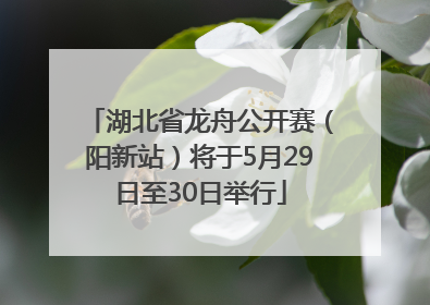 湖北省龙舟公开赛（阳新站）将于5月29日至30日举行