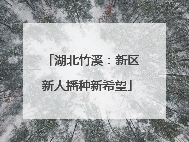 湖北竹溪：新区新人播种新希望