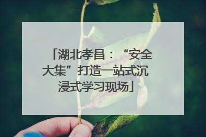 湖北孝昌：“安全大集”打造一站式沉浸式学习现场