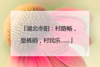 湖北枣阳：村路畅，皇桃俏，村民乐……