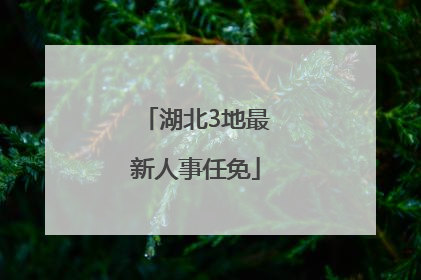 湖北3地最新人事任免