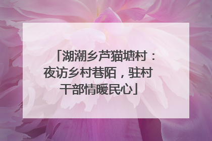 湖潮乡芦猫塘村：夜访乡村巷陌，驻村干部情暖民心