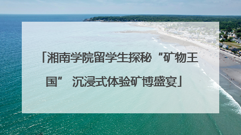 湘南学院留学生探秘“矿物王国” 沉浸式体验矿博盛宴