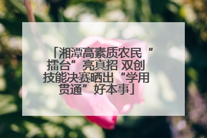 湘潭高素质农民“擂台”亮真招 双创技能决赛晒出“学用贯通”好本事