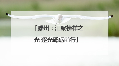 滕州：汇聚榜样之光 逐光砥砺前行