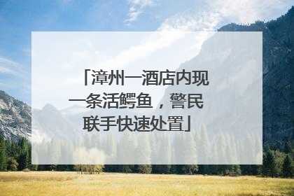 漳州一酒店内现一条活鳄鱼，警民联手快速处置