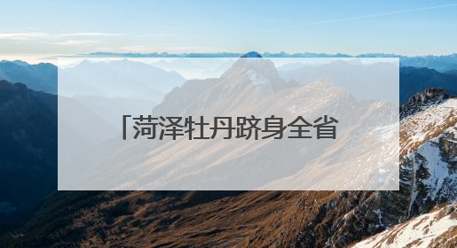 菏泽牡丹跻身全省品牌影响力第一