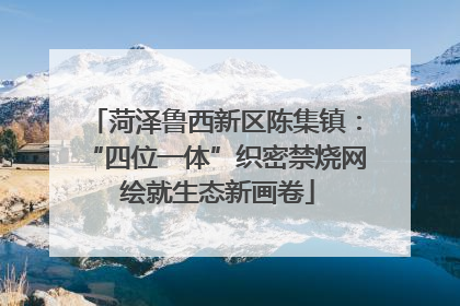 菏泽鲁西新区陈集镇：“四位一体”织密禁烧网 绘就生态新画卷